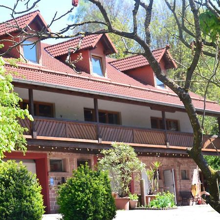 Ferienwohnungen Hof Heiderich Oberzent Екстериор снимка