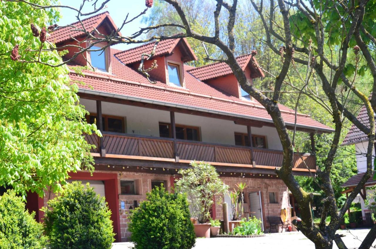 Ferienwohnungen Hof Heiderich Oberzent Екстериор снимка