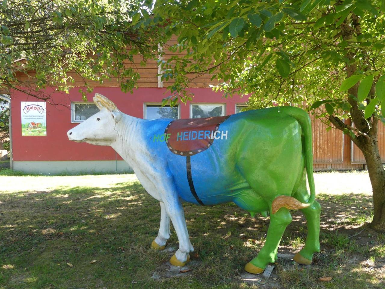 Ferienwohnungen Hof Heiderich Oberzent Екстериор снимка